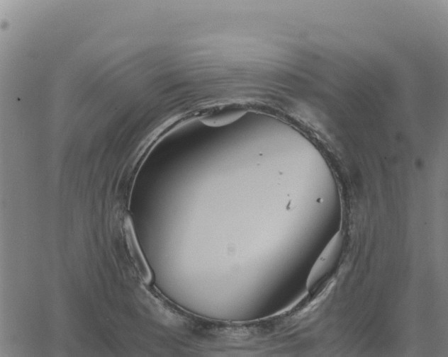 X0000063471177200601271622