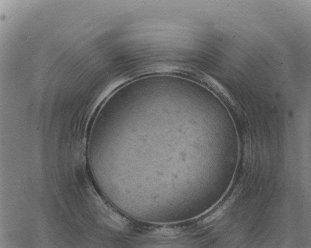 X0000063471178200601271622