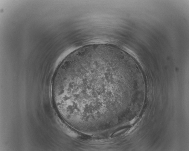 X0000063471179200601271622