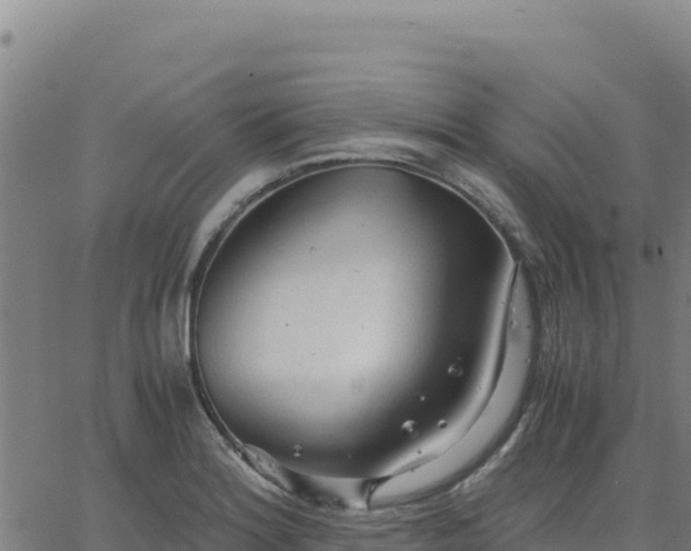 X0000063471180200601271622