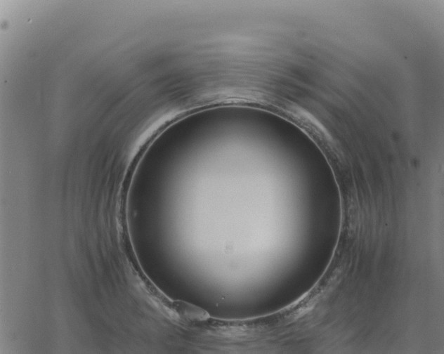 X0000063471182200601271622