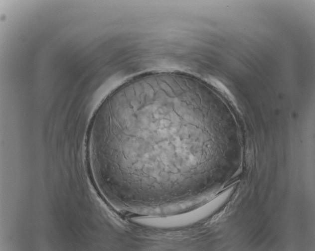 X0000063471183200601271622