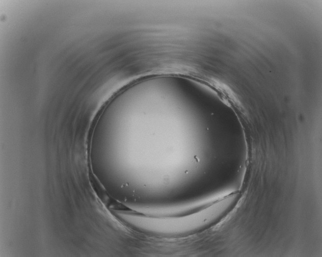 X0000063471184200601271622