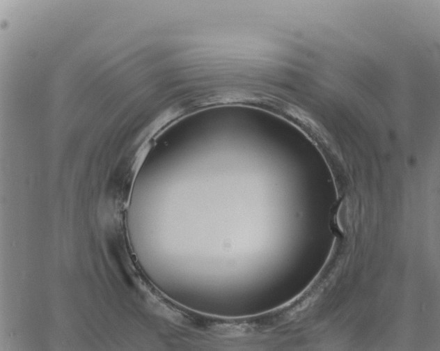 X0000063471185200601271622