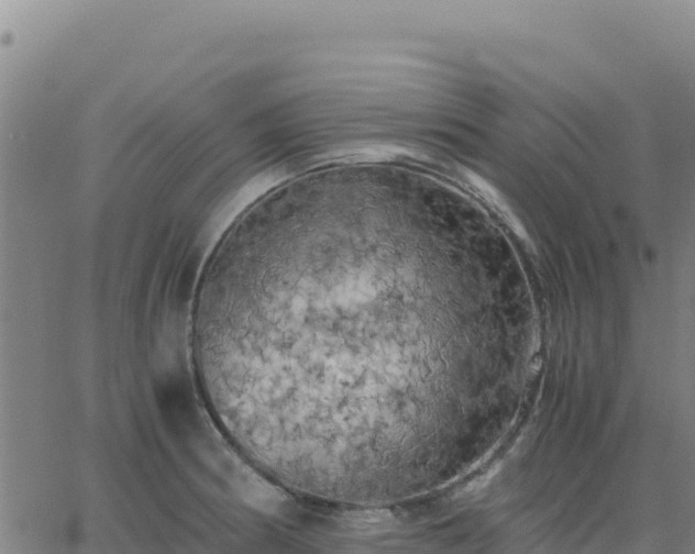 X0000063471186200601271622