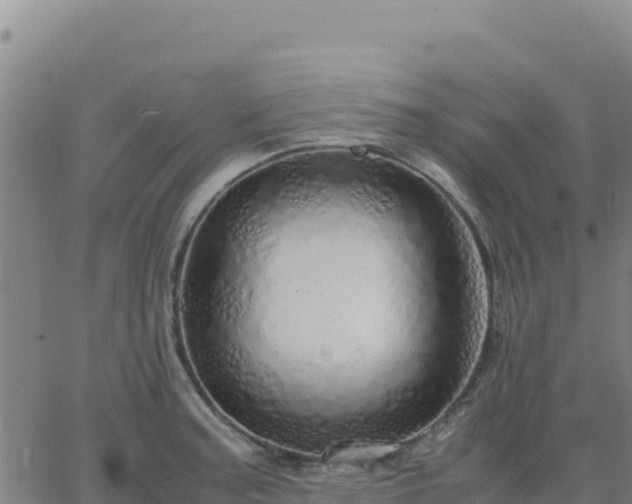 X0000063471187200601271622