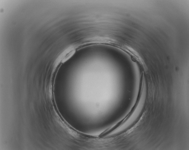 X0000063471188200601271622