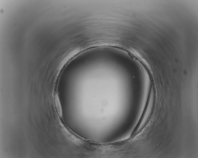 X0000063471189200601271622