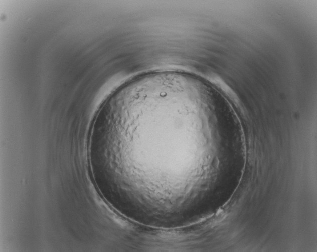 X0000063471191200601271622