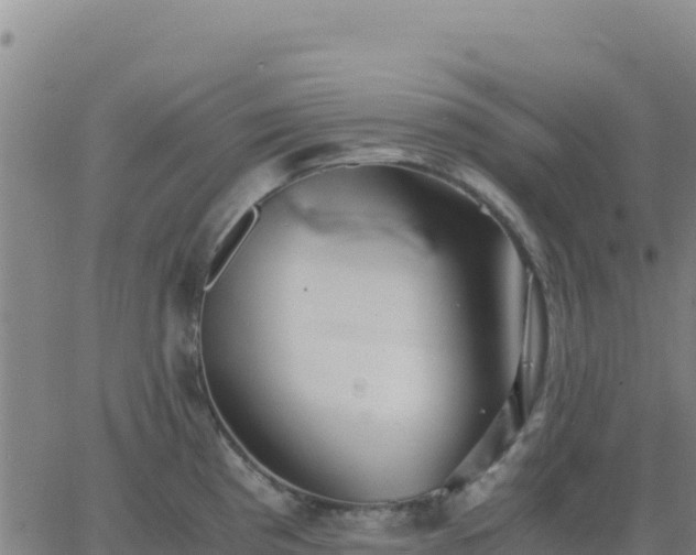 X0000063471193200601271622