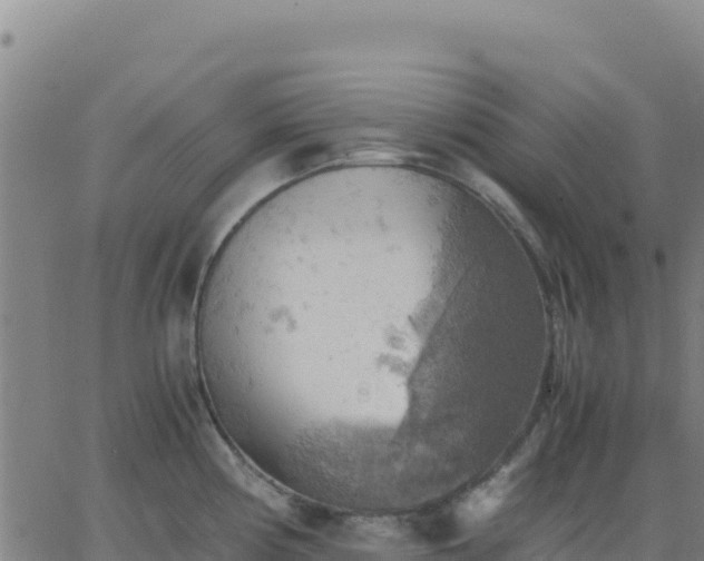 X0000063471194200601271622