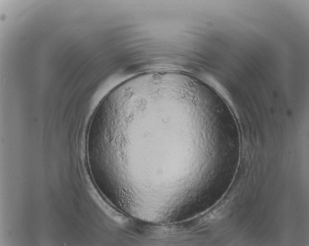 X0000063471195200601271622