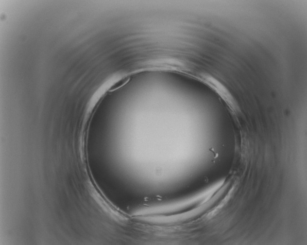 X0000063471196200601271622