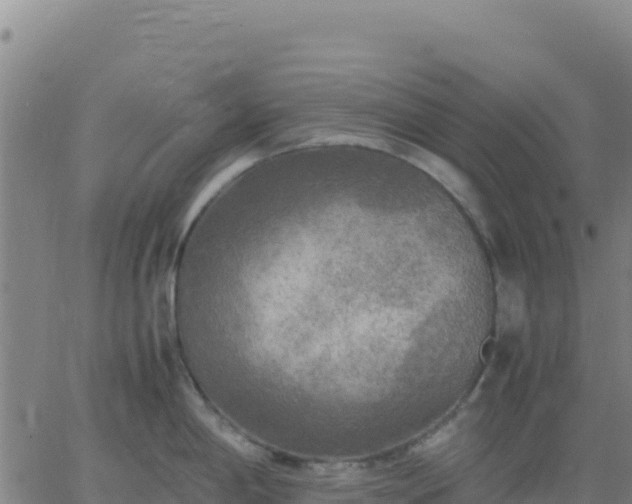 X0000063471198200601271622