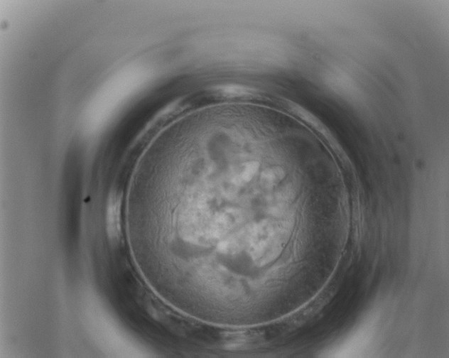 X0000063471199200601271622