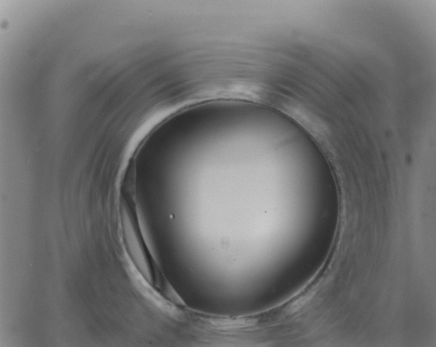 X0000063471200200601271622