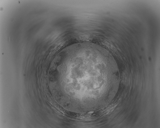 X0000063471201200601271621