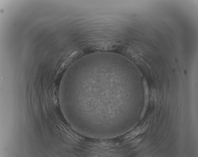 X0000063471202200601271621