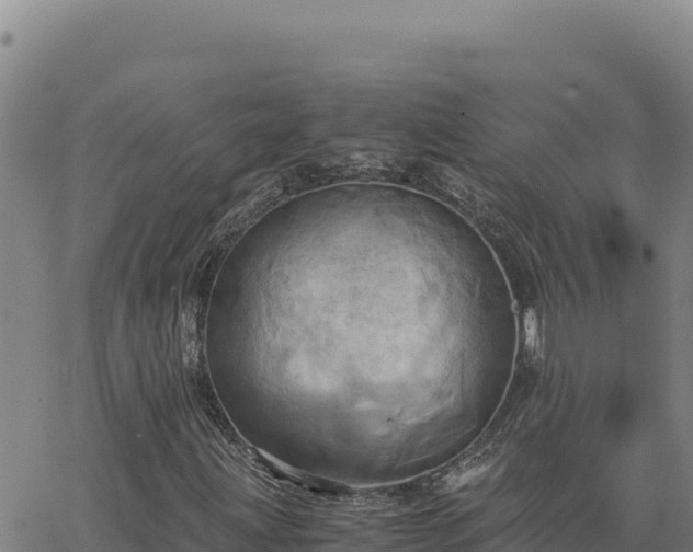 X0000063471203200601271621