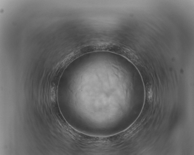 X0000063471204200601271621