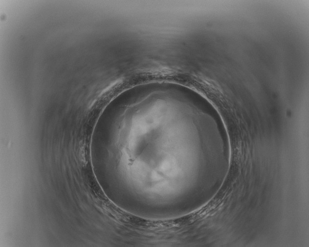 X0000063471205200601271621