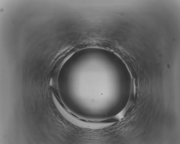 X0000063471206200601271621