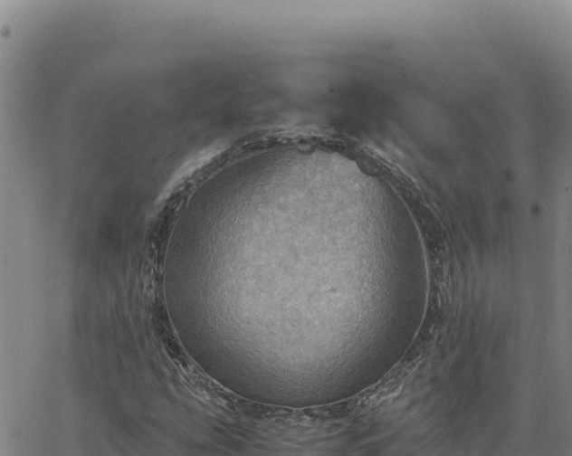 X0000063471207200601271621