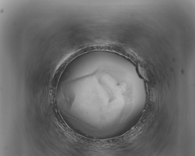 X0000063471208200601271621