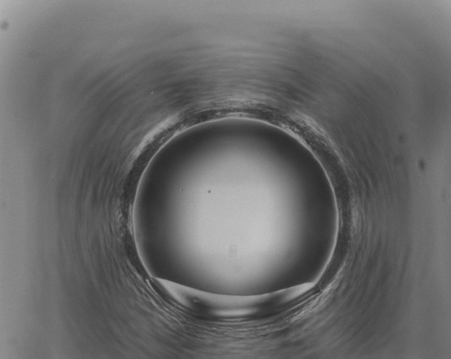 X0000063471210200601271621