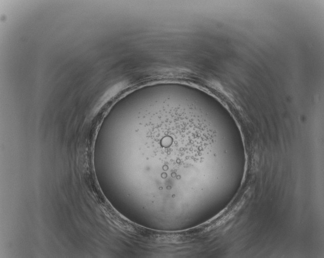 X0000063471211200601271621