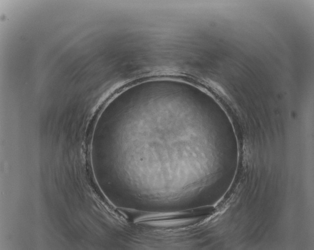 X0000063471212200601271621