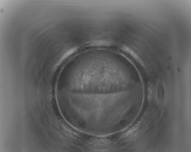 X0000063471213200601271621