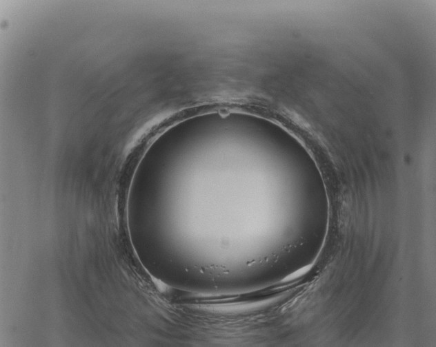 X0000063471214200601271621