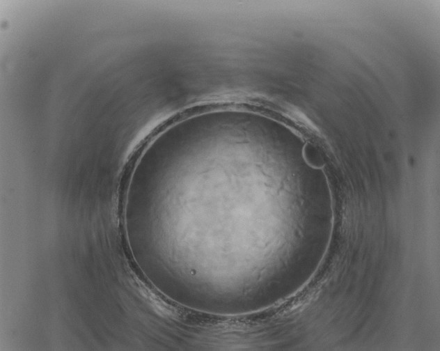 X0000063471216200601271621