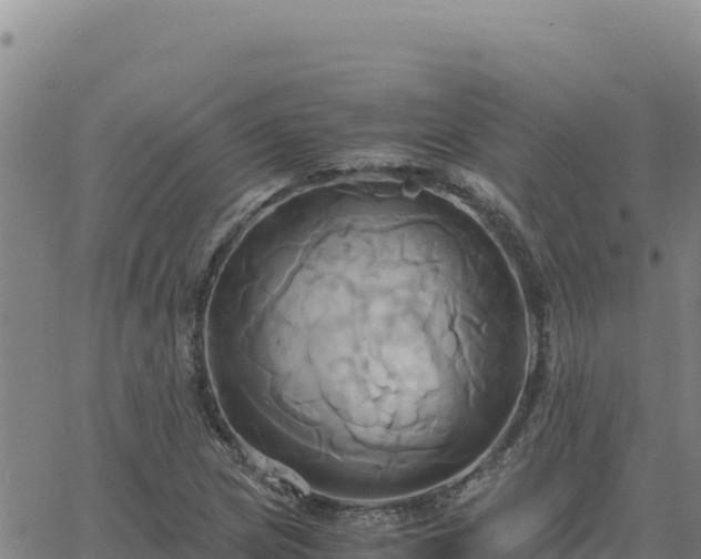 X0000063471217200601271621