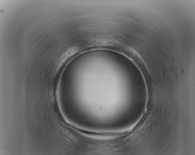 X0000063471218200601271621