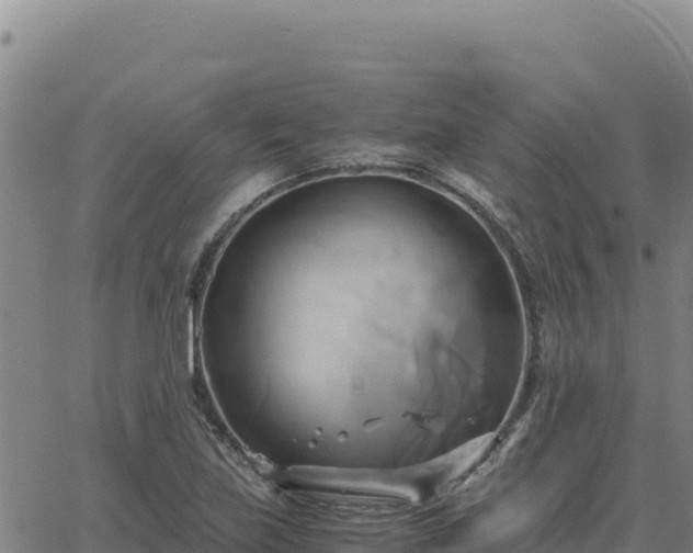 X0000063471219200601271621