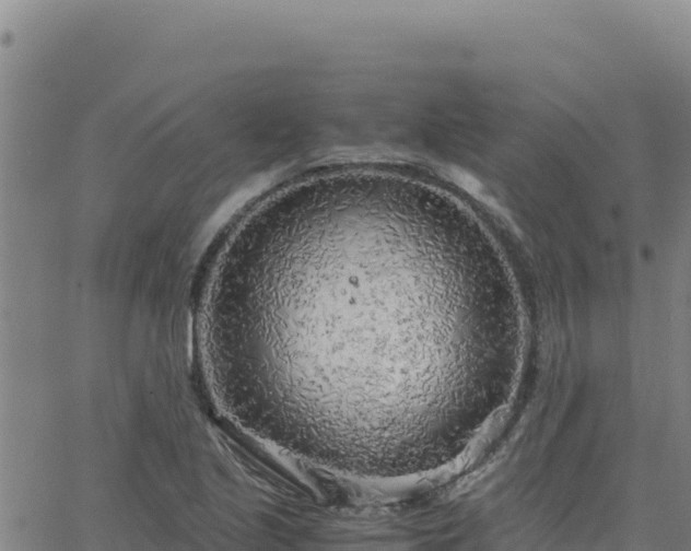 X0000063471221200601271621