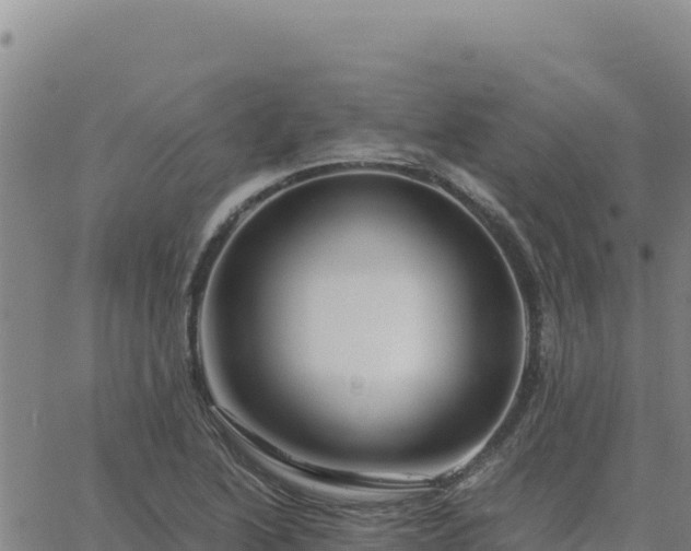 X0000063471222200601271621