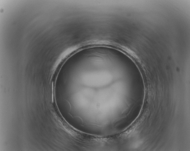 X0000063471223200601271621