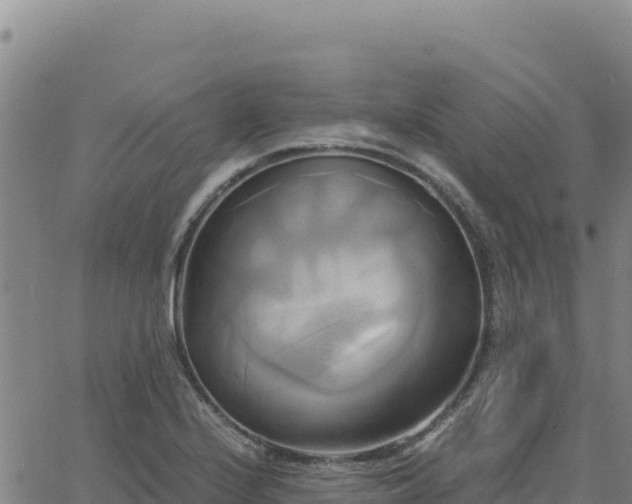 X0000063471224200601271621