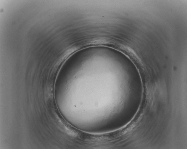 X0000063471225200601271621