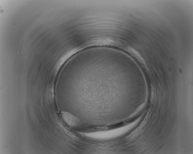 X0000063471226200601271621