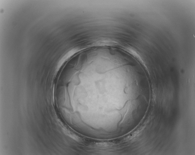 X0000063471227200601271621