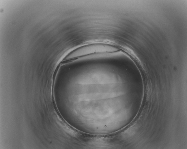 X0000063471228200601271621