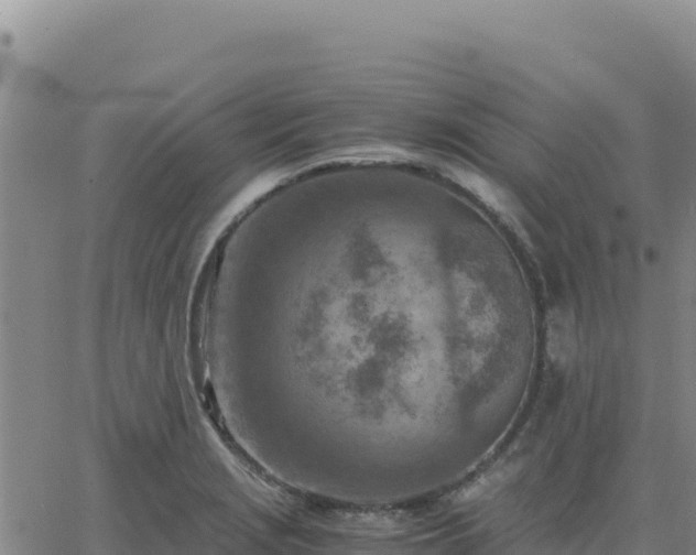 X0000063471229200601271621