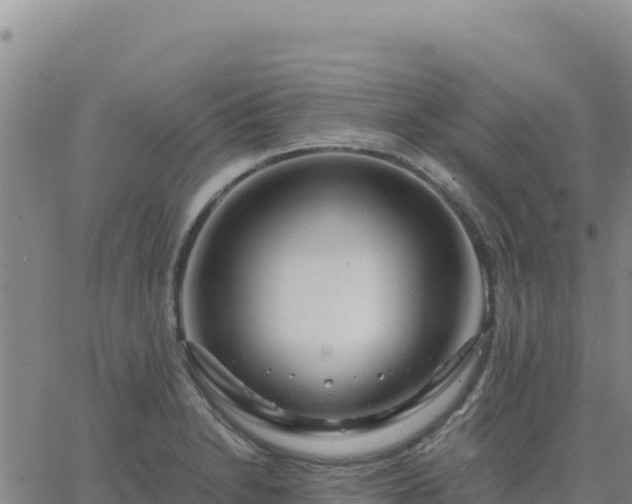 X0000063471230200601271621