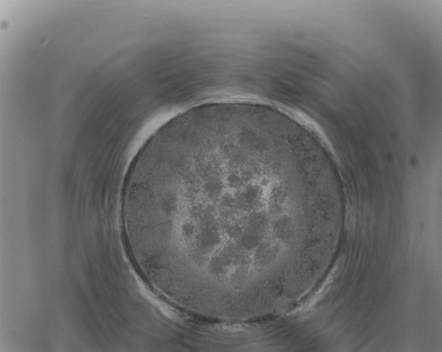 X0000063471231200601271621