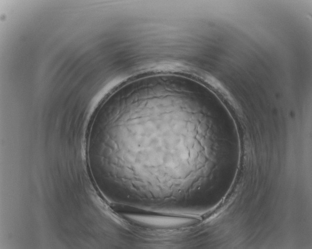 X0000063471232200601271621