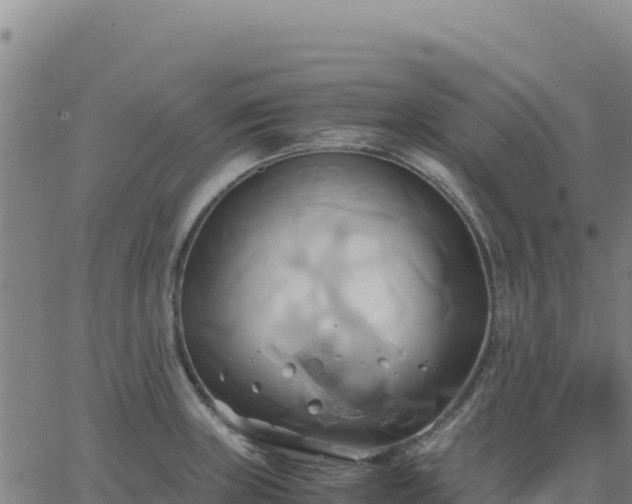 X0000063471235200601271621